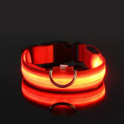 Pet Luxury Store™  - NYLON LED FLASHING COLLAR FOR DOGS