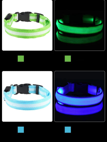 Pet Luxury Store™  - NYLON LED FLASHING COLLAR FOR DOGS