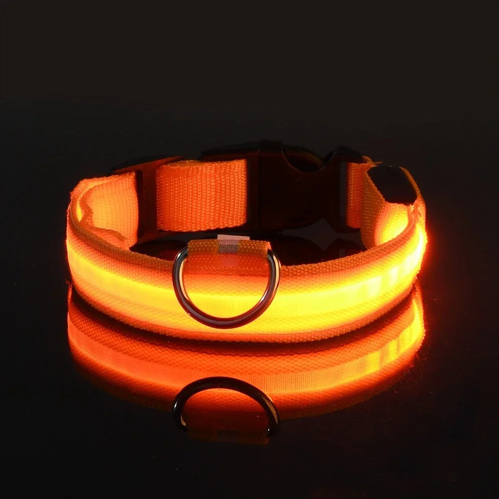 Pet Luxury Store™  - NYLON LED FLASHING COLLAR FOR DOGS