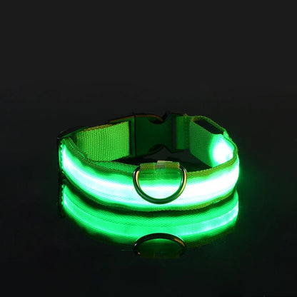 Pet Luxury Store™  - NYLON LED FLASHING COLLAR FOR DOGS
