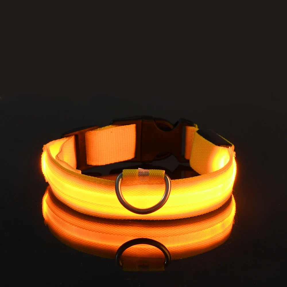 Pet Luxury Store™  - NYLON LED FLASHING COLLAR FOR DOGS