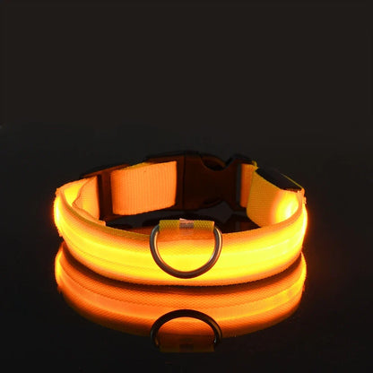 Pet Luxury Store™  - NYLON LED FLASHING COLLAR FOR DOGS