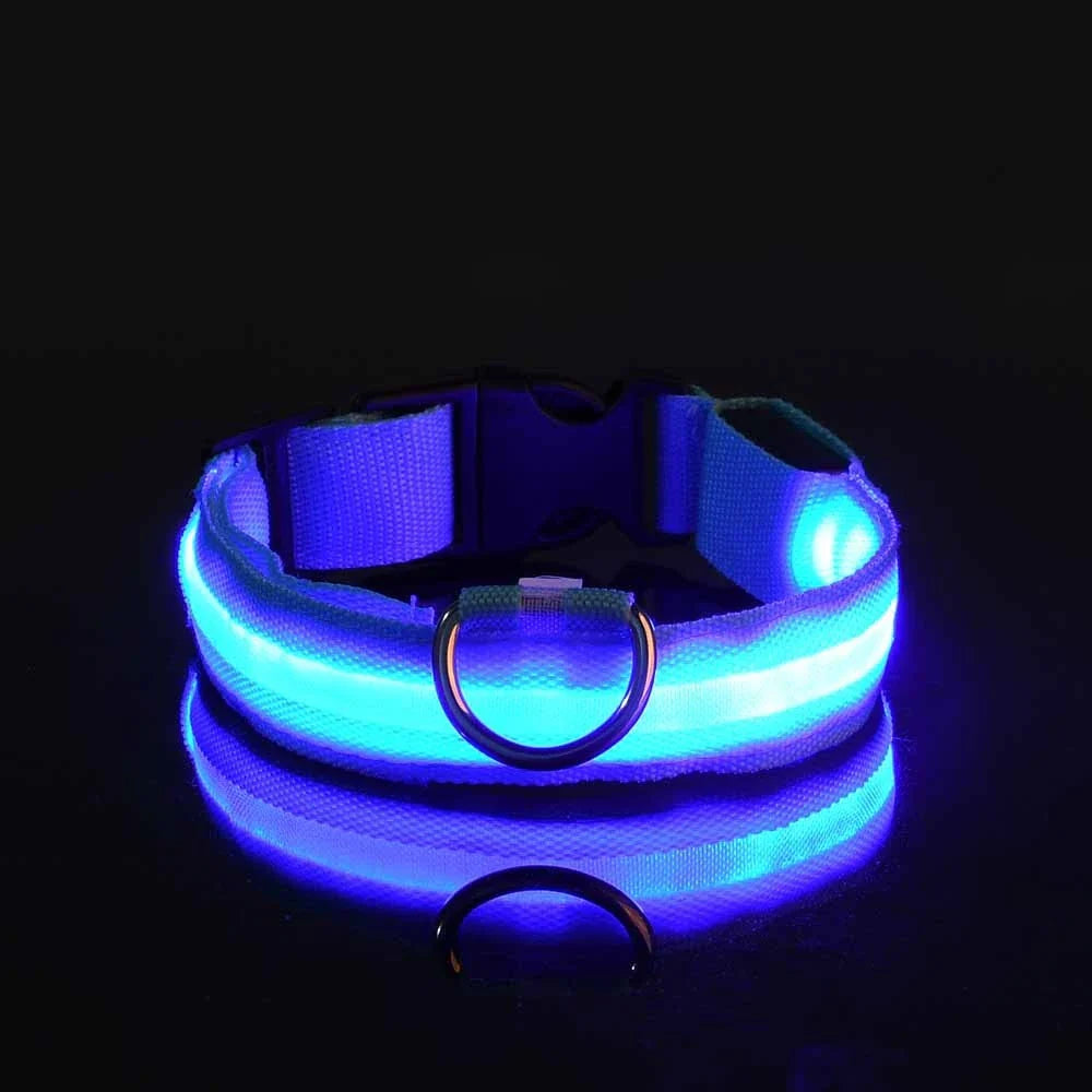 Pet Luxury Store™  - NYLON LED FLASHING COLLAR FOR DOGS