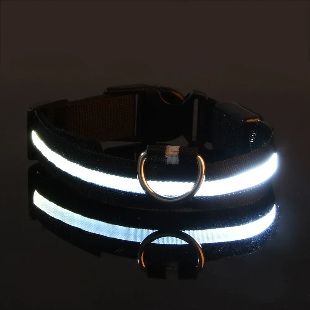 Pet Luxury Store™  - NYLON LED FLASHING COLLAR FOR DOGS