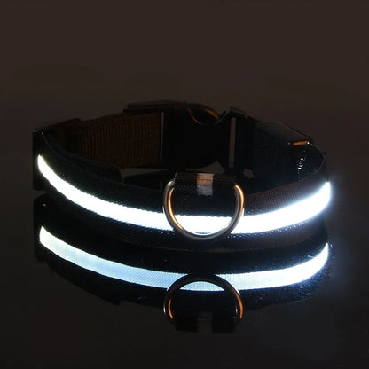 Pet Luxury Store™  - NYLON LED FLASHING COLLAR FOR DOGS