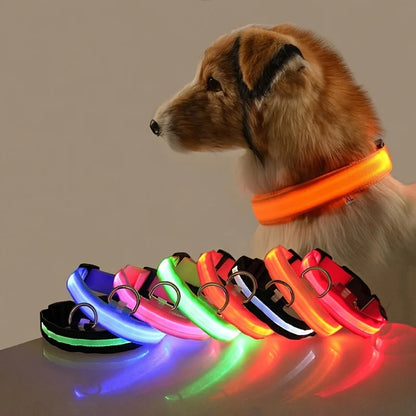 Pet Luxury Store™  - NYLON LED FLASHING COLLAR FOR DOGS