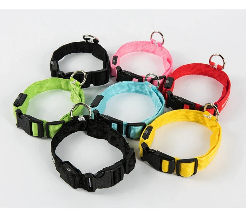 Pet Luxury Store™  - NYLON LED FLASHING COLLAR FOR DOGS