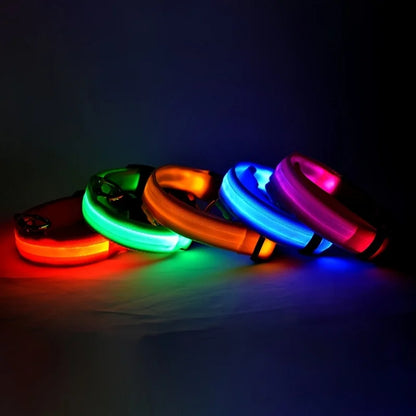 Pet Luxury Store™  - NYLON LED FLASHING COLLAR FOR DOGS