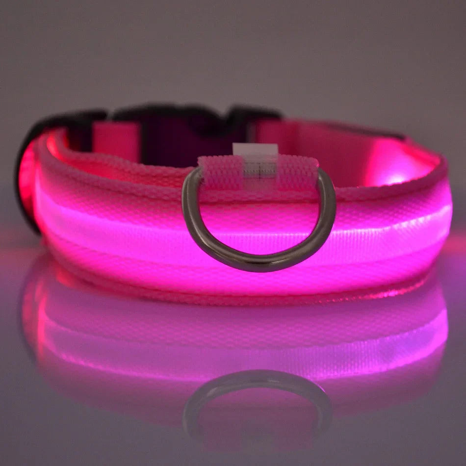 Pet Luxury Store™  - NYLON LED FLASHING COLLAR FOR DOGS
