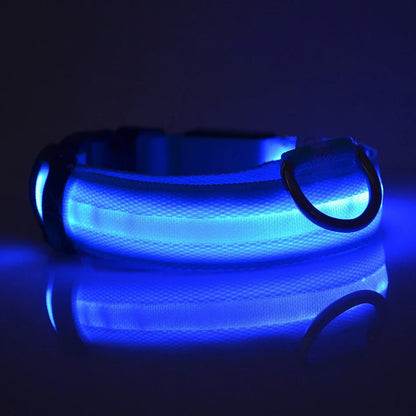 Pet Luxury Store™  - NYLON LED FLASHING COLLAR FOR DOGS