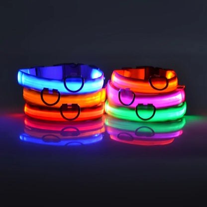 Pet Luxury Store™  - NYLON LED FLASHING COLLAR FOR DOGS