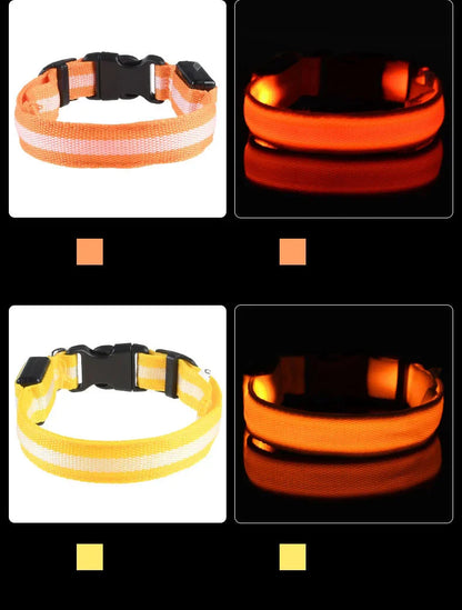 Pet Luxury Store™  - NYLON LED FLASHING COLLAR FOR DOGS
