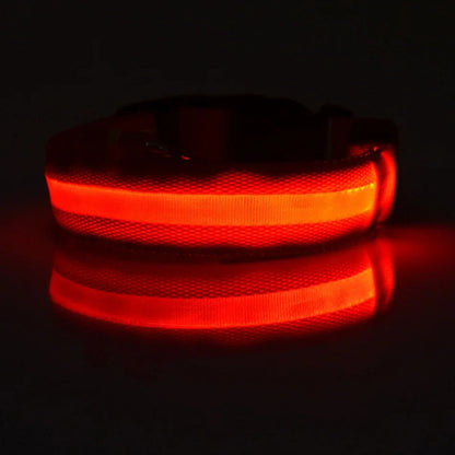 Pet Luxury Store™  - NYLON LED FLASHING COLLAR FOR DOGS
