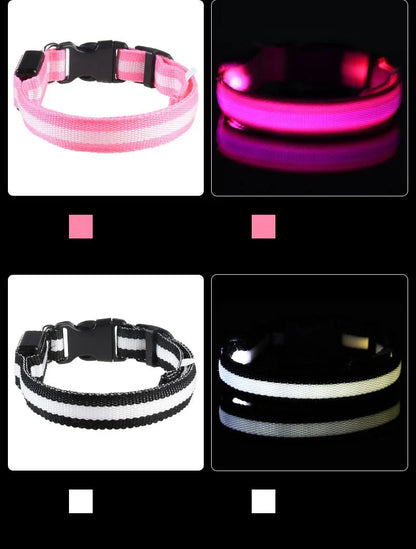 Pet Luxury Store™  - NYLON LED FLASHING COLLAR FOR DOGS