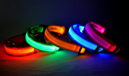 Pet Luxury Store™  - NYLON LED FLASHING COLLAR FOR DOGS