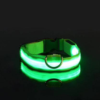 Pet Luxury Store™  - NYLON LED FLASHING COLLAR FOR DOGS