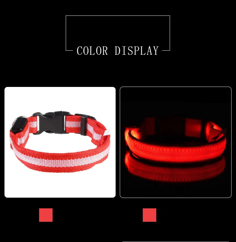 Pet Luxury Store™  - NYLON LED FLASHING COLLAR FOR DOGS