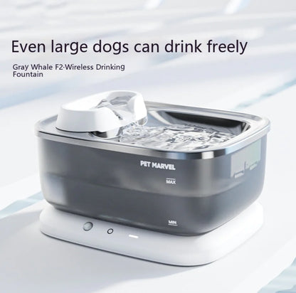 Pet Luxury Store™ - Pet Water Dispenser