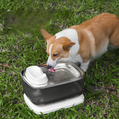 Pet Luxury Store™ Smart Drinking – Pet Water Fountain