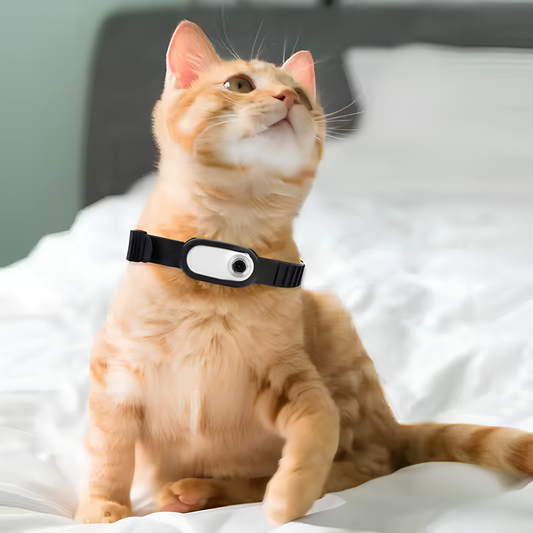 Pet Luxury Store™ Paw Security – Smart Pet Camera